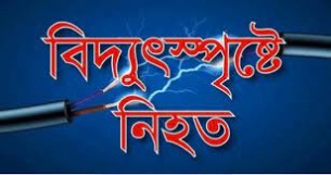 ভোলায় বিদ্যুৎপৃষ্ঠ  হয়ে গৃহবধূর মৃত্যু