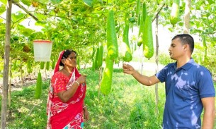 গোপালগঞ্জে বিষমুক্ত নিরাপদ লাউ চাষে সফল কল্পনা