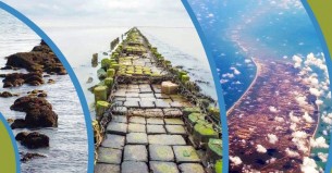 রাম সেতু বানরবাহিনীর তৈরি নাকি প্রকৃতির বিস্ময়?