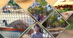 ছুটির দিনে পরিবার নিয়ে ঘুরে আসুন চিড়িয়াখানায়