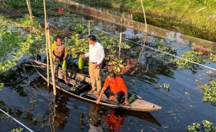 টুঙ্গিপাড়া ও কোটালীপাড়ায় কচুরিপানার ভাসমান বেডে সবজির সমরোহ