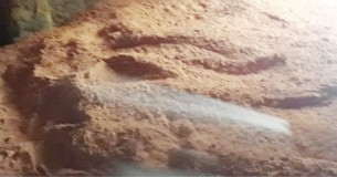 ভোলায় হলুদ মরিচে রং মেশানো দায়ে জরিমানা
