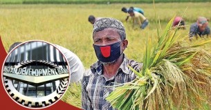 জলবায়ু স্মার্ট কৃষিপ্রযুক্তি সম্প্রসারণে ২৫৬ কোটি দেবে এডিবি