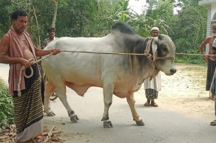 প্রধানমন্ত্রীর প্রতি কৃষক দম্পতির অকৃত্রিম ভালোবাসা