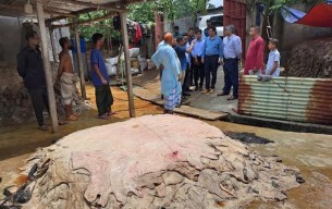 দেশ থেকে চামড়া পাচারের সুযোগ নেই : বাণিজ্য সচিব