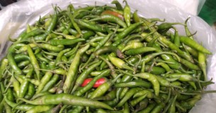 অস্থির কাঁচা মরিচের বাজার