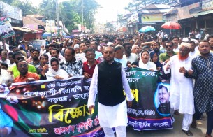 বিএনপি-জামায়াত দেশে অস্থিতিশীলতা  সৃষ্টির চেষ্টা করছে: এমপি শাওন