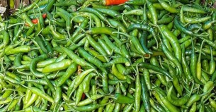 ঢাকায় কাঁচা মরিচের কেজি ৪৮০, আলুর দাম বেড়ে ৫০