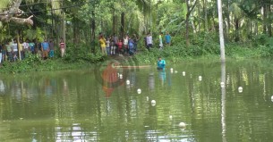 ভোলায় মুক্তা চাষে দুই যুবকের সফলতার হাতছানি