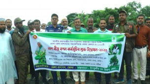 ভোলায় ৫০ হাজার তাল বীজ বপণ কর্মসূচির উদ্বোধন