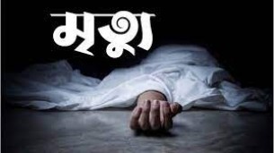 লালমোহনে বিদ্যুতায়িত হয়ে গাছ  থেকে পড়ে দিনমজুরের মৃত্যু