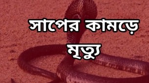 লালমোহনে সাপের ছোবলে কৃষকের মৃত্যু