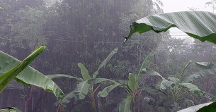 ৫ বিভাগে বৃষ্টির আভাস, আরও কমতে পারে তাপমাত্রা