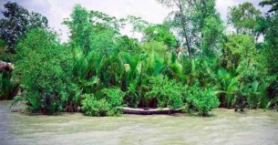 সুন্দরবন দিবস আজ