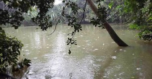 সপ্তাহ শেষে ফের বৃষ্টি হতে পারে