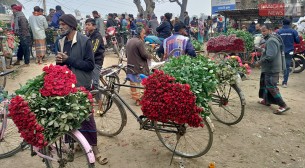ফাগুনের হাওয়ায় গাঁদা ফুলে আগুন, গোলাপের দামে রেকর্ড