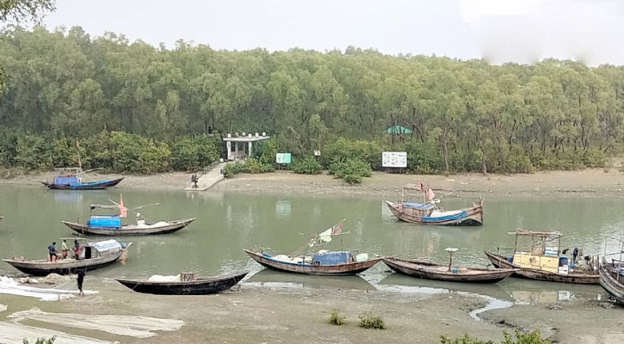BHOLA-1