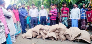 তজুমদ্দিনে জেলে পুনর্বাসনের ভিজিএফ'র  চাউল উদ্ধার
