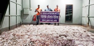 ভোলায় যাত্রীবাহী লঞ্চ থেকে ৮৫ মণ মাছ জব্দ
