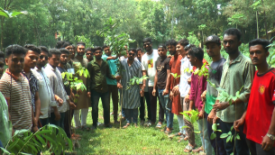 ভোলায় ছাত্রলীগের বৃক্ষরোপন কর্মসূচি পালিত
