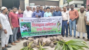 ভোলায় ক্ষুদ্র ও প্রান্তিক কৃষকের মাঝে পাঁচ হাজার নারিকেলের চারা বিতরণ