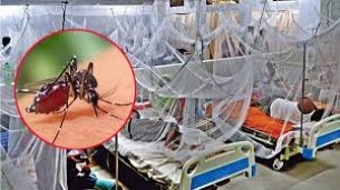 ডেঙ্গুতে আরও ২ মৃত্যু, হাসপাতালে ৮৫৪ জন
