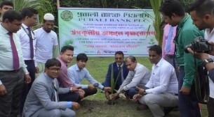 পূবালী ব্যাংকের উদ্যোগে ভোলায় বজ্রপাতের ঝুঁকি প্রশমনে তাল গাছের চারা রোপণ কর্মসূচীর উদ্বোধন