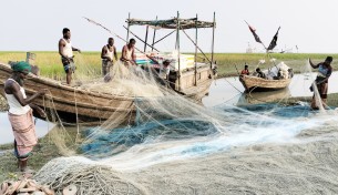 দেনার বোঝা মাথায় নিয়েই নদীতে নামছেন লালমোহনের জেলেরা