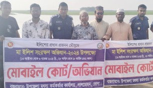 মা ইলিশ সংরক্ষণ অভিযানে লালমোহনে রেকর্ড সাফল্য