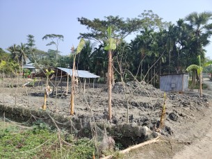 তজুমদ্দিনে রাতের আধারে জমি  দখল চেষ্টার অভিযোগ