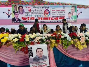 দৌলতখান ছাত্রদলের ৪৬ তম প্রতিষ্ঠাবার্ষিকী পালিত