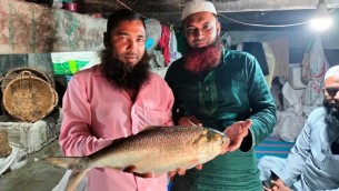 দৌলতখানে পৌন দুই কেজি ওজনের  ইলিশের দাম ৭ হাজার টাকা