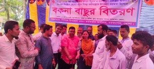 চরফ্যাশন বিকল্প জীবিকার জন্য  ৫০ জেলে পেলেন বকনা বাছুর