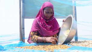 ভোলায় পরিবেশ বান্ধব ও স্বাস্থ্য সম্মতভাবে  বাড়ির আঙিনায় চলছে শুঁটকি উৎপাদন
