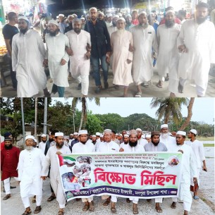 মনপুরায় জামায়াত ও তৌহিদী জনতার ইসরায়েল বিরোধী বিক্ষোভ, পন্য বয়কটের ডাক
