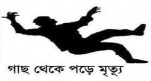 লালমোহনে গাছ থেকে পড়ে দিনমজুরের মৃত্যু