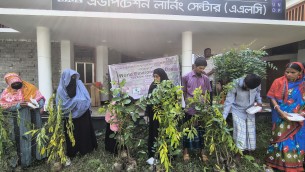 ভোলার কুকরি মুকররিতে বিশ্ব পরিবেশ দিবস পালন