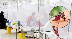 ডেঙ্গুতে আরও ২ জনের মৃত্যু, আক্রান্ত ৩৯২