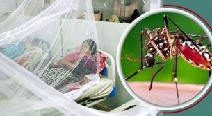 ডেঙ্গুতে একজনের মৃত্যু, হাসপাতালে ৩৫৮