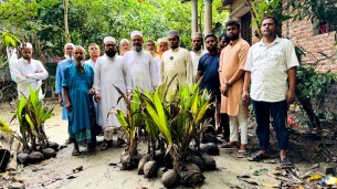 ইলিশায় জামায়াতের উদ্যোগে নারিকেল চারা বিতরণ কার্যক্রম অনুষ্ঠিত