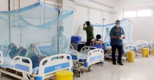 চলতি বছর ডেঙ্গুতে মৃত্যু ৫০ ছাড়ালো