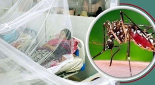 ডেঙ্গুতে তিনজনের মৃত্যু, হাসপাতালে ভর্তি ৪১২