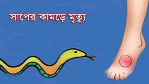লালমোহনে সাপের কামড়ে গৃহবধূর মৃত্যু