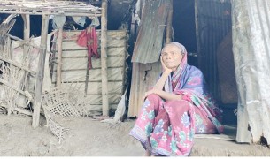 একজন বিধবা শাহানুরের কথা
