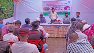 বোরহানউদ্দিনে গ্রীষ্মকালীন পেঁয়াজ চাষে উদ্যোক্তাদের প্রশিক্ষণ