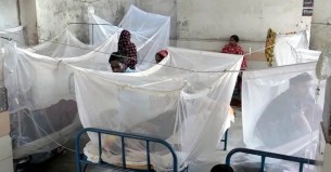 ডেঙ্গুতে আরও ৪ জনের মৃত্যু, হাসপাতালে ভর্তি ৯৪২