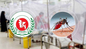 ডেঙ্গুতে একদিনে ৭ জনের মৃত্যু, নতুন রোগী ৫৬৭
