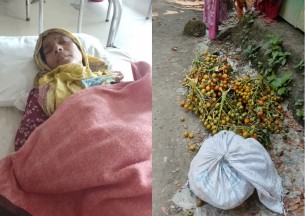 লালমোহনে আদালতে মামলা করায় গাছ থেকে সুপারি পেড়ে নেয়ার অভিযোগ