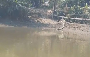 লালমোহনে প্রবাহমান খালে বাঁধ দিয়ে মাছ ধরার কারণে চাষাবাদ বিঘ্নের অভিযোগ