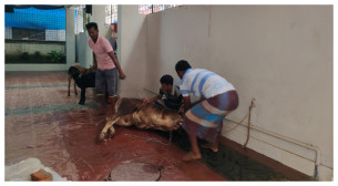 ঈদের দ্বিতীয় দিনেও চলছে রাজধানীতে পশু কোরবানি